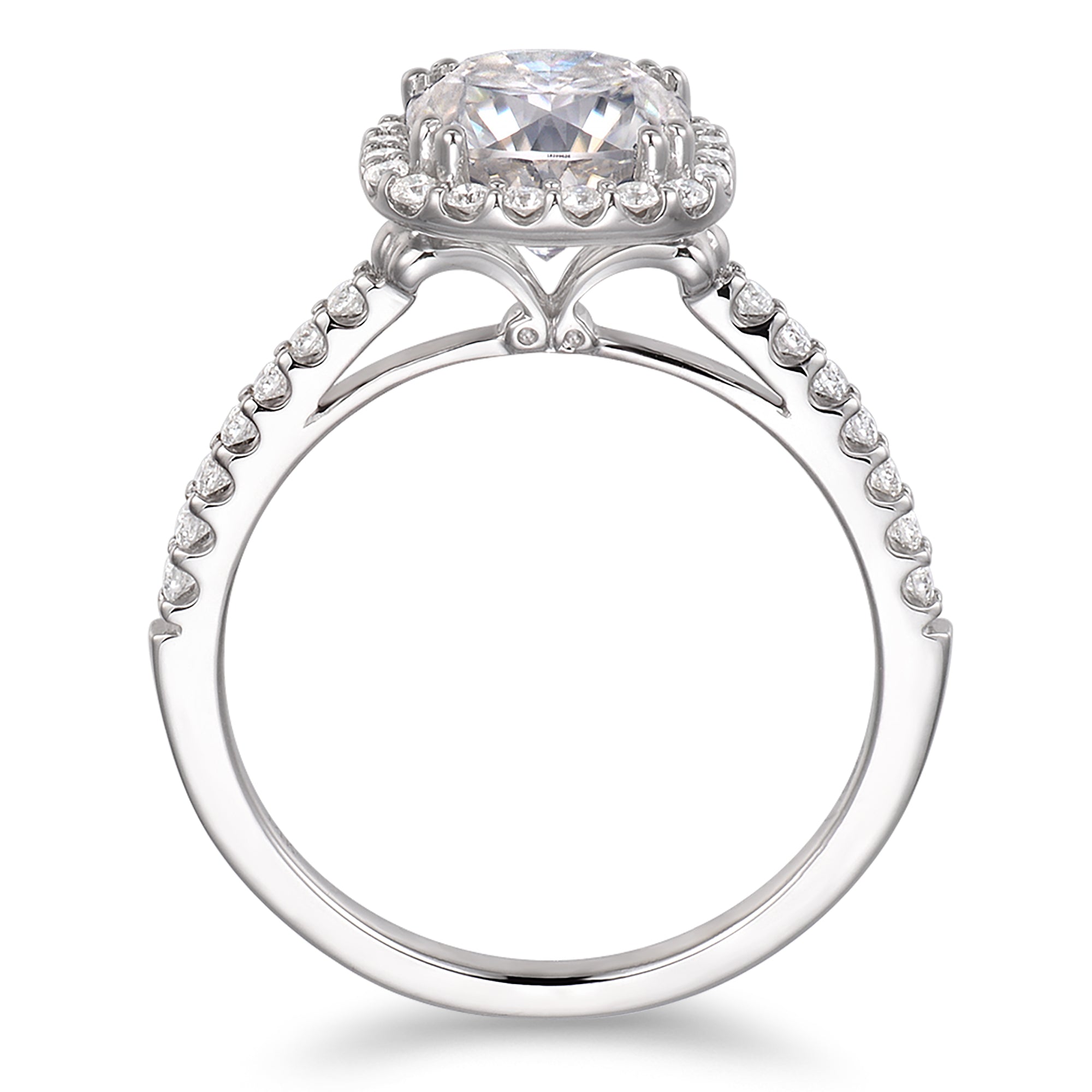Elegant halo moissanite ring in white gold
